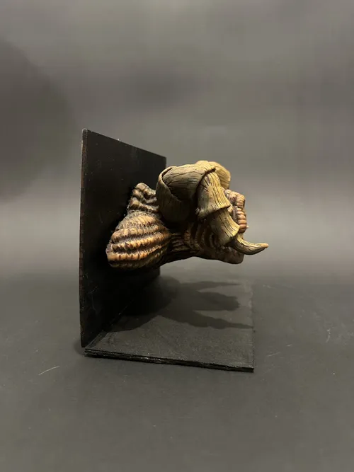 Depth Monster Bust, photo 7