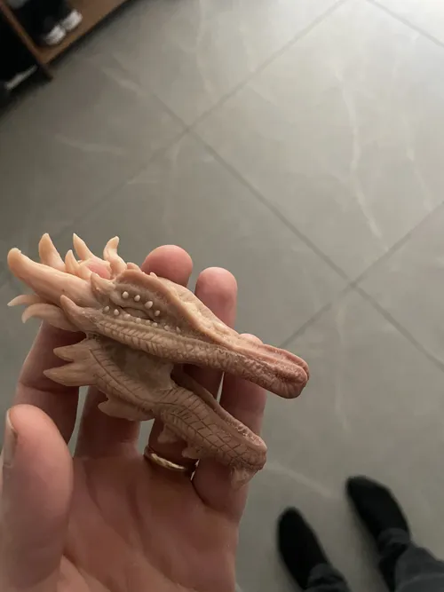 Lizard Dragon, photo 21
