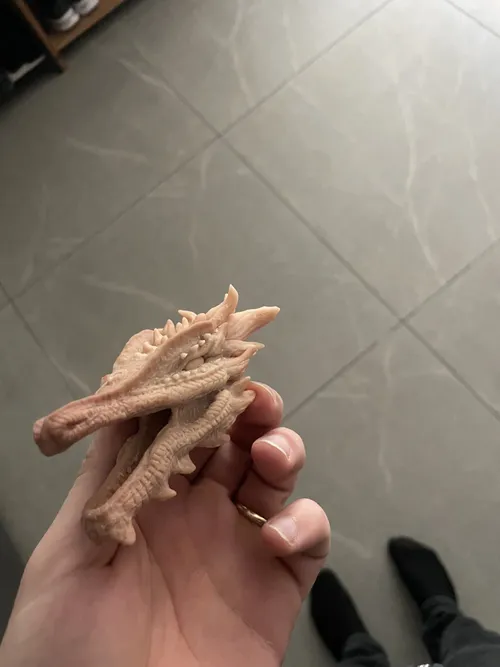 Lizard Dragon, photo 22