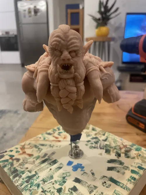Orc Bust, photo 25